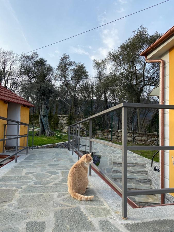 Sunrise Holiday Home Camogli Exterior foto